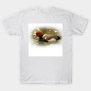 Red-crested pochard T-Shirt